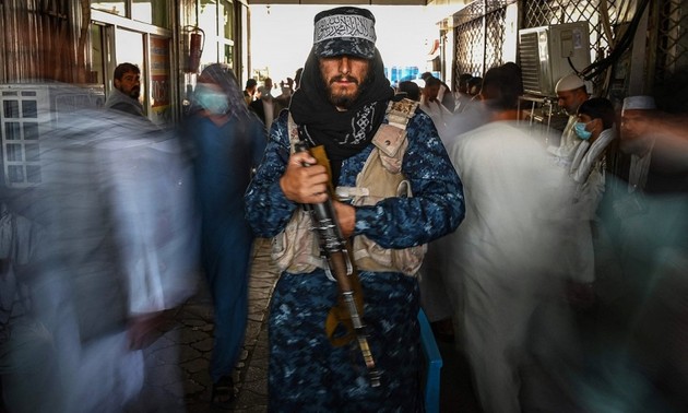 Taliban starten Offensive gegen IS