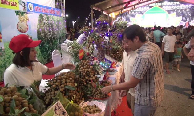 Hanoi will im November Früchte-Festival veranstalten
