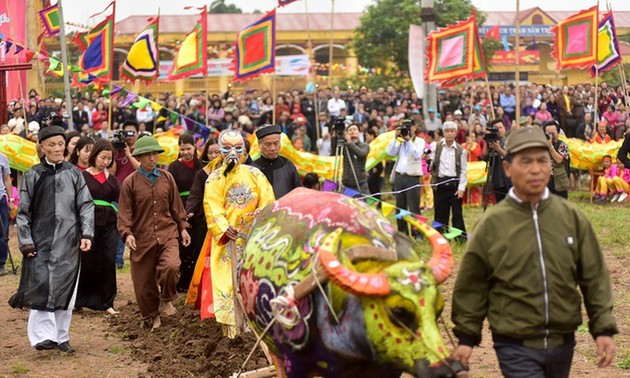 Festival des Reisanbaus 2022 wird verkürzt veranstaltet