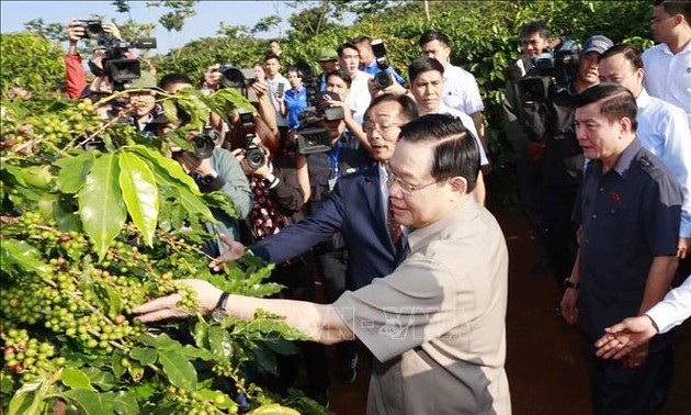 Parlamentspräsident Vuong Dinh Hue besucht Kaffee-Plantage in Son La