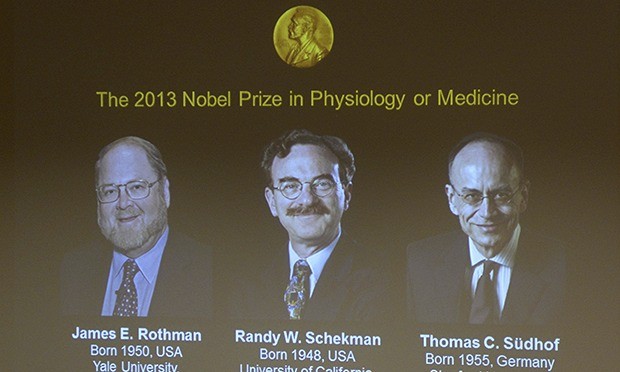The 2013 Medicine/Physiology Nobel honors German and US scientists 