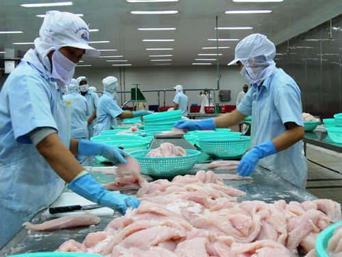 EEUU impone impuestos a pescados bagre vietnamitas