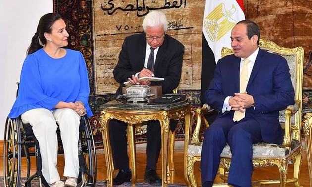 Argentina y Egipto votan por consolidar la cooperación económica y comercial