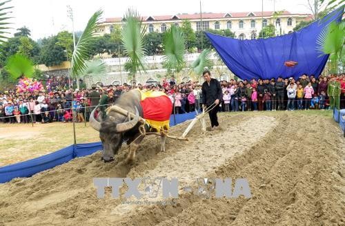 Étnicos Tay en Tuyen Quang celebran el festival de Long Tong