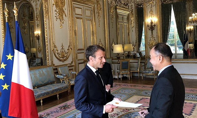 Presidente francés aprecia las relaciones con Vietnam