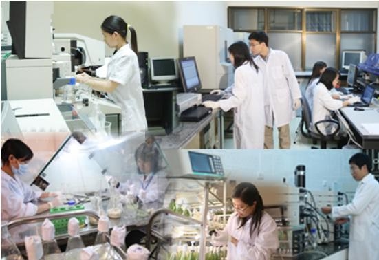 Vietnam promueve desarrollo de empresas científico-tecnológicas