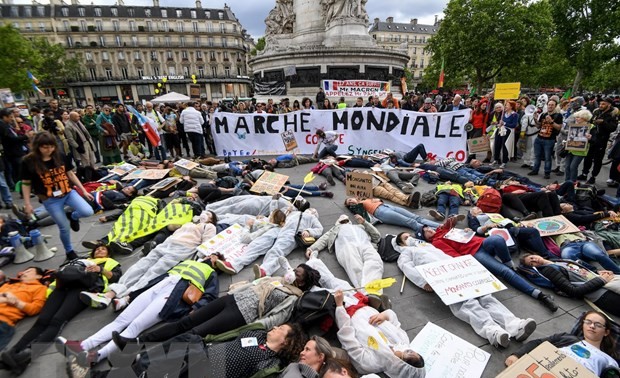 Marchas en Francia para denunciar actividades de Bayer-Monsanto