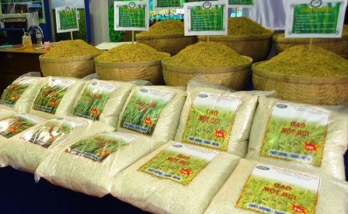 Exportaciones de arroz de Vietnam alcanzan casi 6 millones de toneladas en los primeros 11 meses de 2019