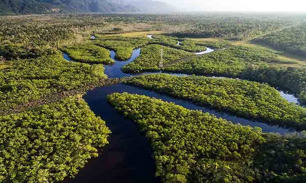 Brasil y Alemania firman acuerdo para producción sostenible en la Amazonía