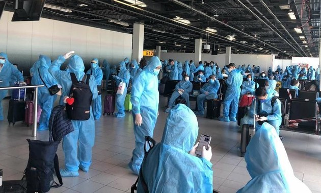 Repatriación de cerca de 350 ciudadanos vietnamitas desde diferentes continentes