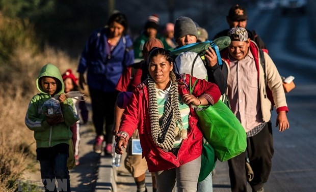 México aumenta las detenciones de migrantes indocumentados
