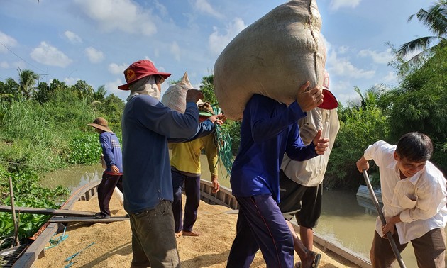 Una temporada de cultivo exitosa en el delta del río Mekong