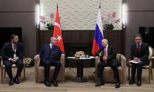 Presidentes de Rusia y Turquía mantienen conversaciones sobre la situación en Siria