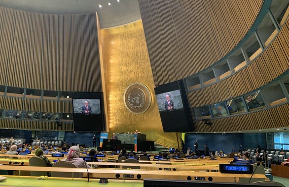 Vietnam elegido como vicepresidente de Asamblea General de la ONU