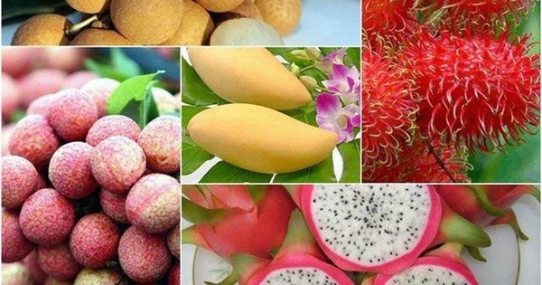 Vietnam ingresará más de cinco mil millones de dólares por exportación de frutas para 2025