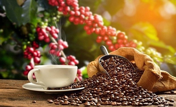 Vietnam, mayor proveedor de café de España