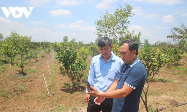 Promueven la transformación digital en la agricultura en Soc Trang 
