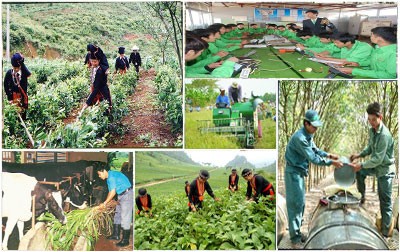Enseñanza de oficios para los trabajadores en el campo vietnamita 