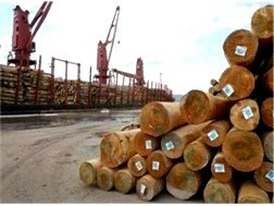 Crecen exportaciones de madera por esfuerzos de adaptación al mercado