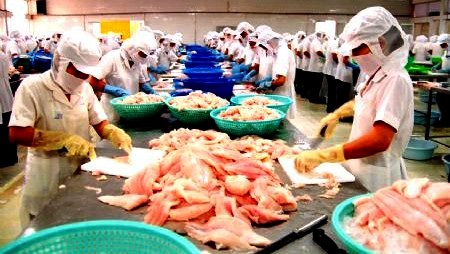 Vietnam protesta gravémenes de Estados Unidos a pescados sin escama 