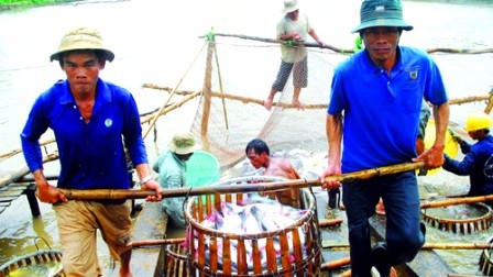 Irracional impuesto antidumping de Estados Unidos contra pescados de Vietnam