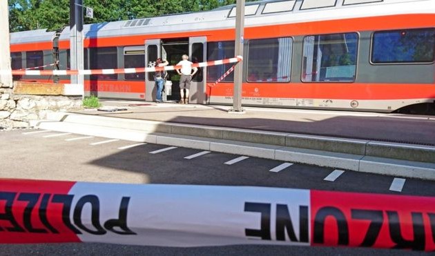 Swiss train attack suspect dies