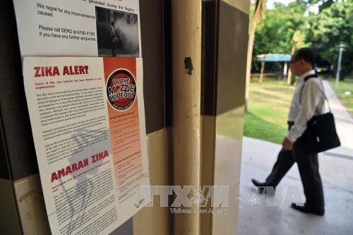 Zika cases increase in Singapore