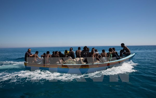 Egypt foils attempt of smuggling people to Europe