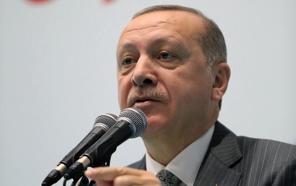 Erdogan: Turkey will clean out Kurdish gunmen in northern Iraq