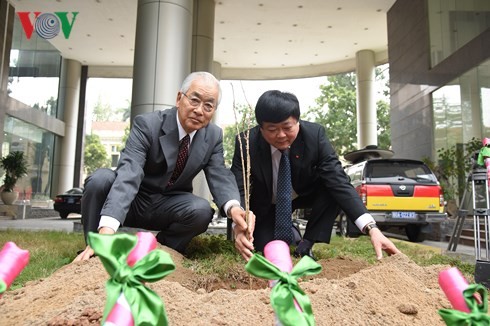 Kairinjuku University presents 100 sakura trees to VOV