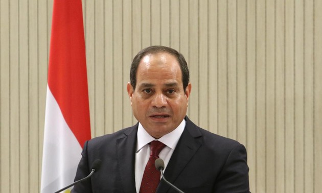 Egypt pledges continued efforts to end Syria crisis 