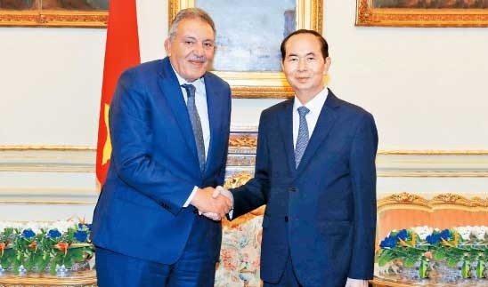 President Tran Dai Quang concludes Egypt visit 