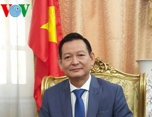 Vietnam protects citizens in Libya