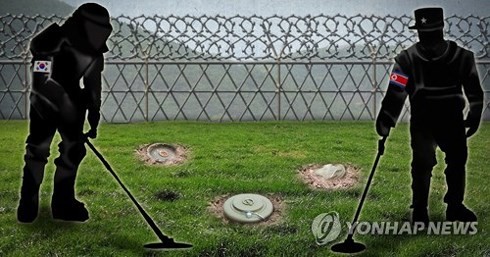 조선, 한국 비무장 지역 지뢰 제거 시작
