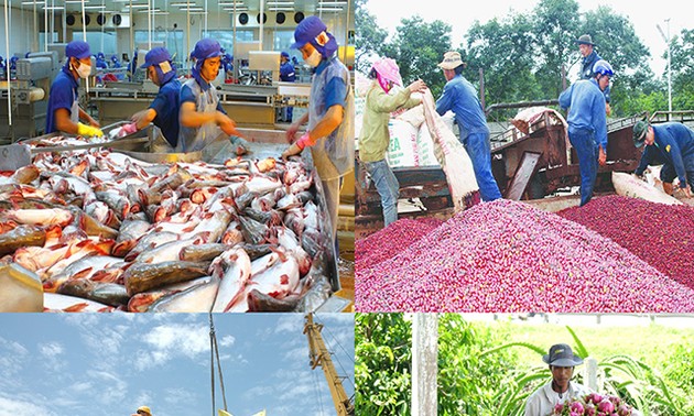 EVFTA – 베트남의 기업 관리 제고 및 농산물 수출 촉진 기회
