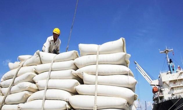 베트남 쌀 단가, 이주 계속 톤 당 480달러  유지