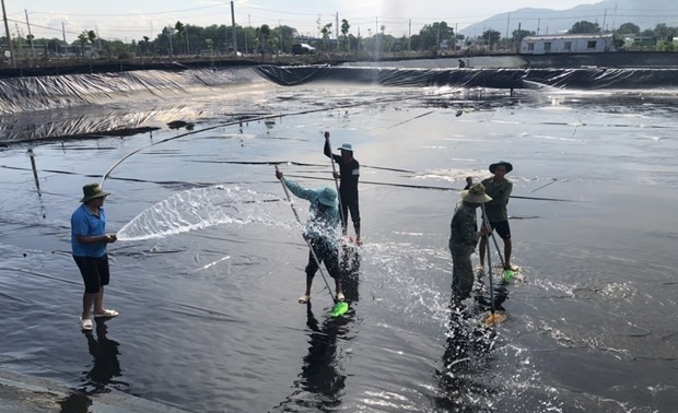 베트남, 새우 생산 주요 국가로 부상