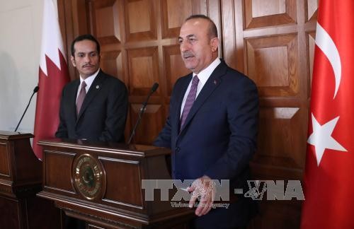   Crise du Golfe : les ministres turc et qatari des Affaires étrangères se rencontrent