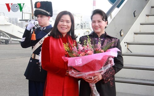 Célébration du 45ème anniversaire des relations diplomatiques Vietnam-Pays-Bas