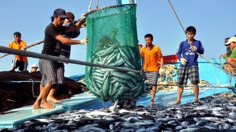 Le Vietnam réalise les recommandations de l’UE sur la pêcherie responsable et durable