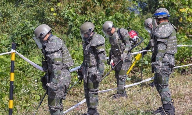 Pyongyang a retiré 636 mines à Panmunjom