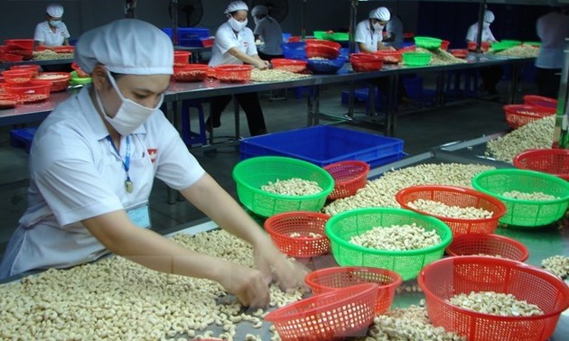 越南出口企业努力满足中国市场的要求