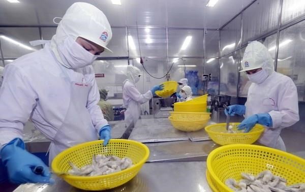 Exportations de crevettes: 4,2 milliards de dollars visés cette année
