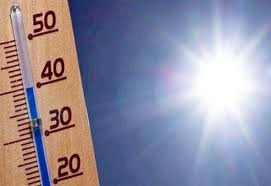 Juillet 2019 a été le mois le plus chaud jamais mesuré dans le monde