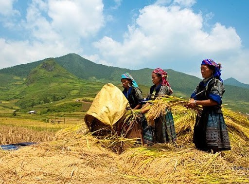   5 ans du Programme « Développer le commerce dans les zones montagneuses, isolées et insulaires »