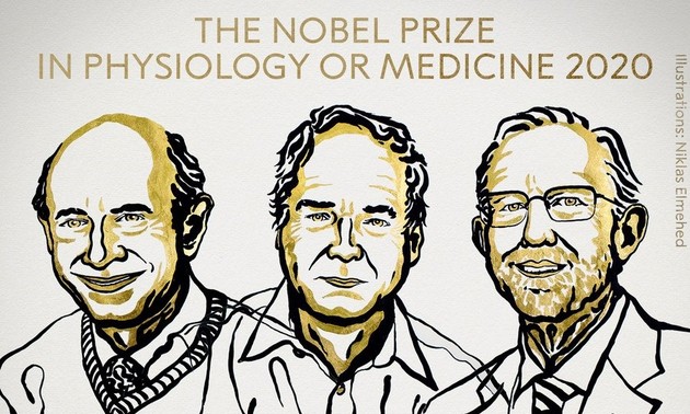 Le Nobel de médecine attribué à trois chercheurs pour la découverte du virus de l'hépatite C 
