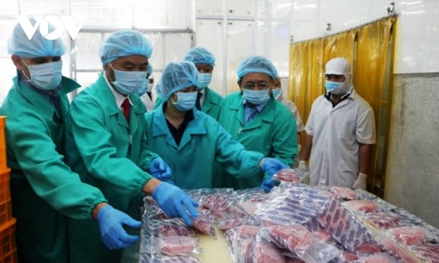 L’exportation du thon vietnamien en Europe a le vent en poupe 