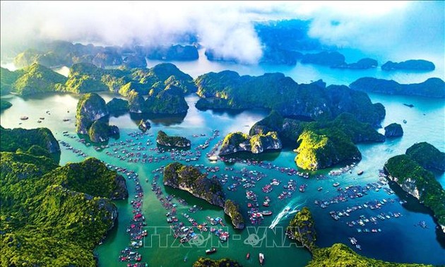 La baie d’Ha Long et les îles de Cat Bà, candidates au patrimoine mondial