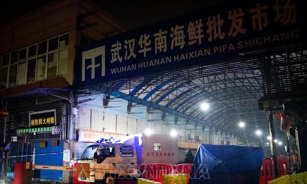 Coronavirus en Chine: Les experts de l’OMS visitent le marché de Wuhan, premier foyer de l’épidémie