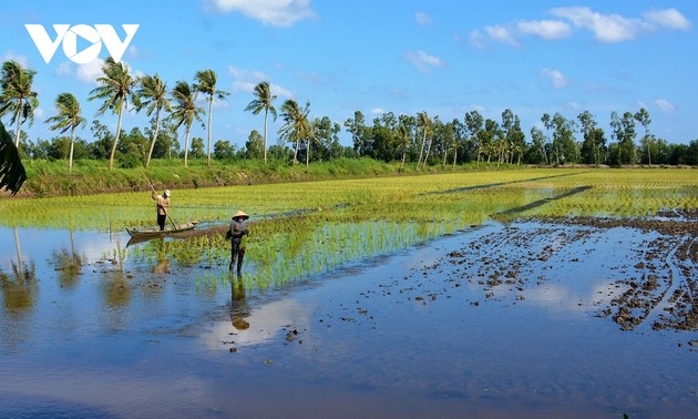 Le Delta du Mékong opte pour un développement adapté au changement climatique